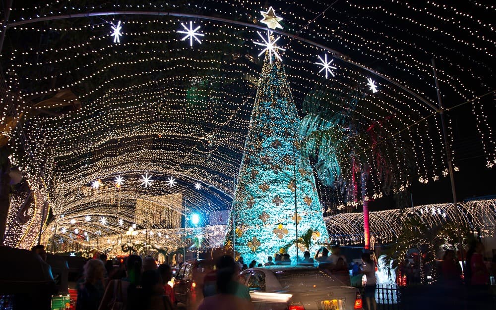 Christmas & Winter Festivities