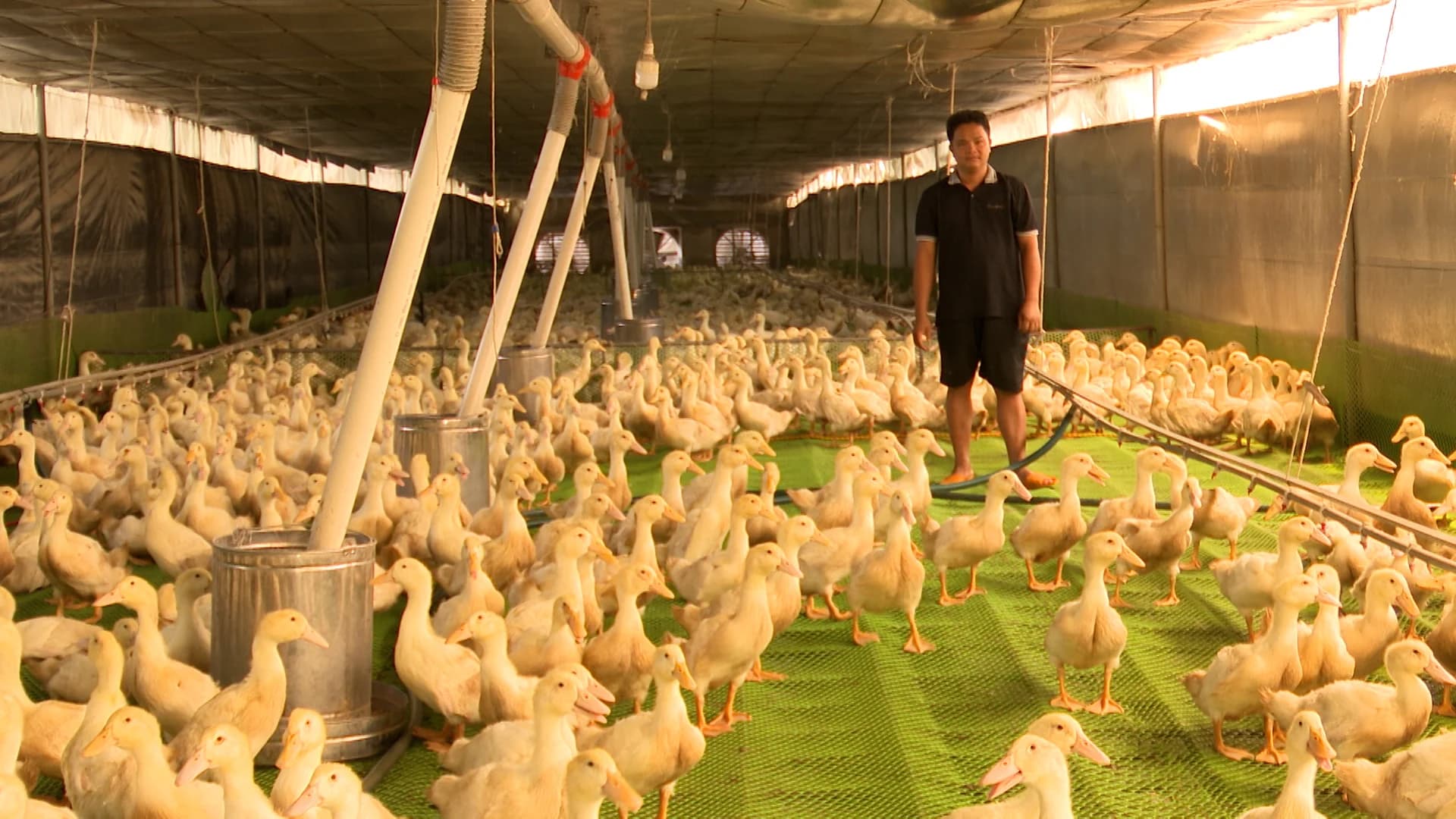 Bespoke Farm Harvesting XXII