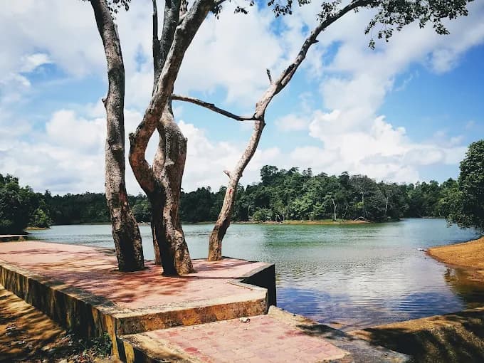 Dandeniya Sanctuary V