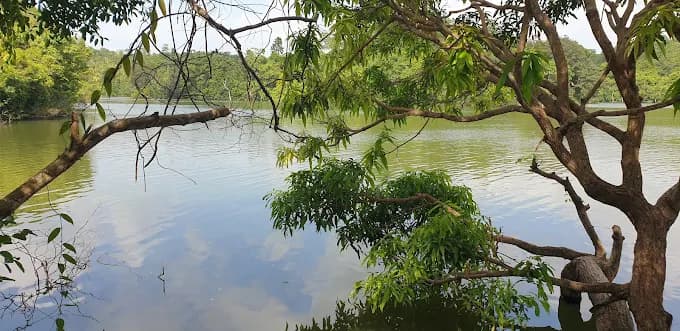 Dandeniya Sanctuary VI