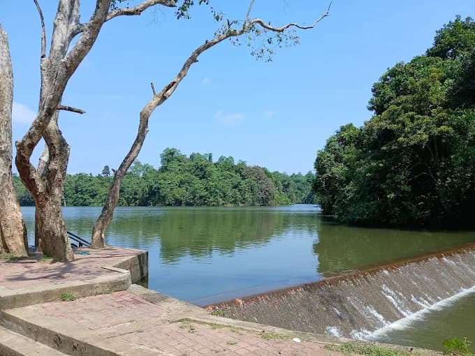 Dandeniya Sanctuary VII