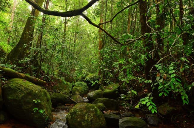 Eco & Sustainable Tourism