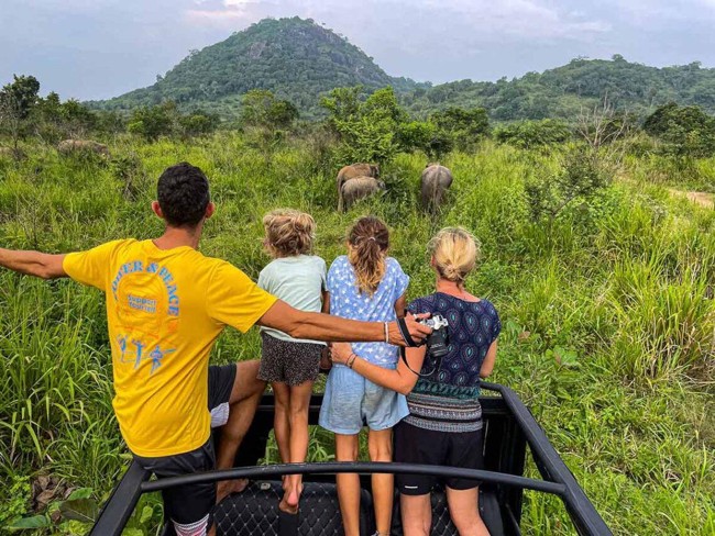 Family Holiday Experience - Image 5