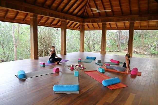 Wellness & Ayurveda Retreat - Image 2