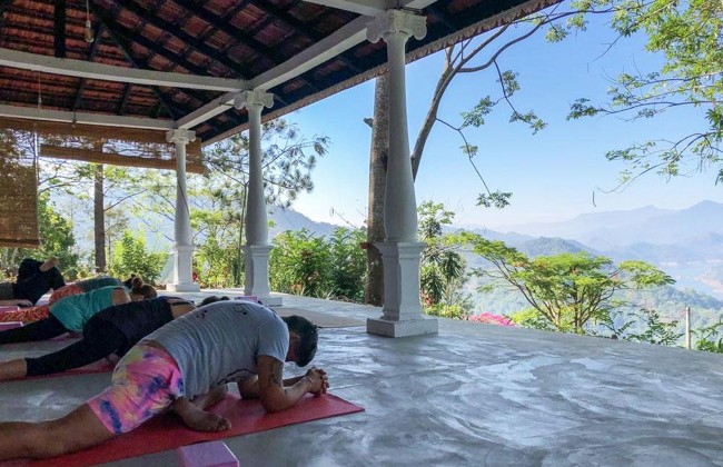 Wellness & Ayurveda Retreat - Image 5