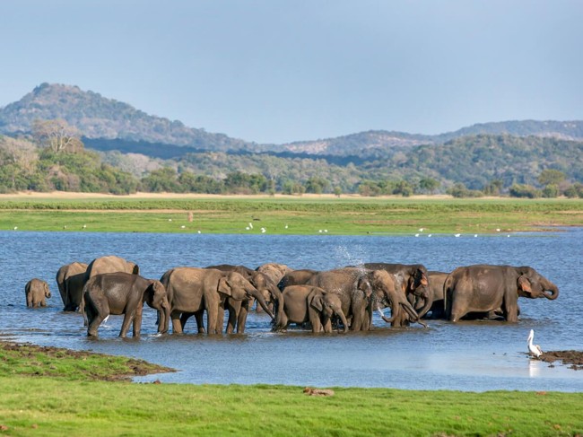 Wildlife & Nature Adventure - Image 2