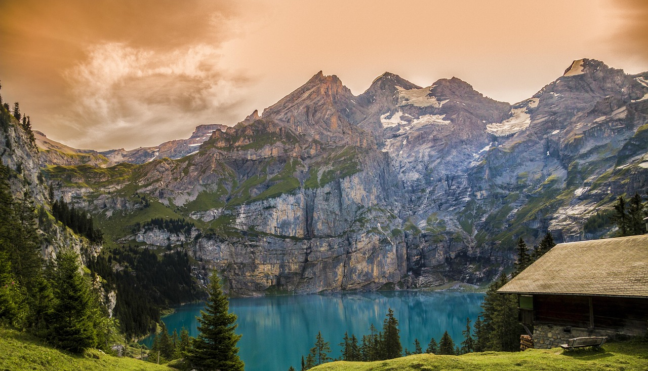 Untamed Wilderness